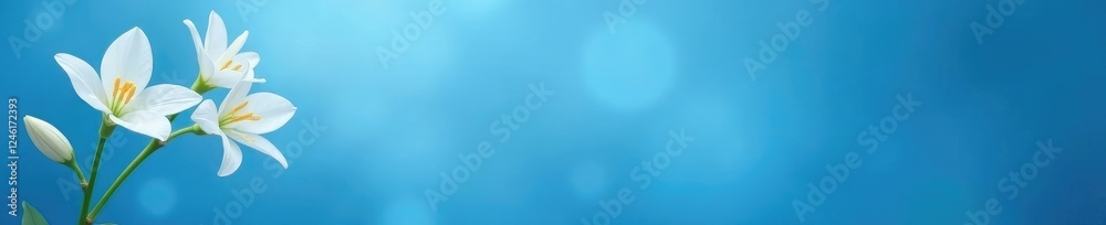 Blue background with a single lily of valley blooming, gentle, bloom, blue Blue background with a single lily of valley blooming, gentle, bloom, blue