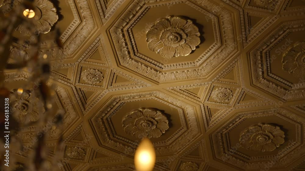 Ornate ceiling with intricate designs. Ceiling features series of octagonal and hexagonal panels each containing detailed floral motif in center