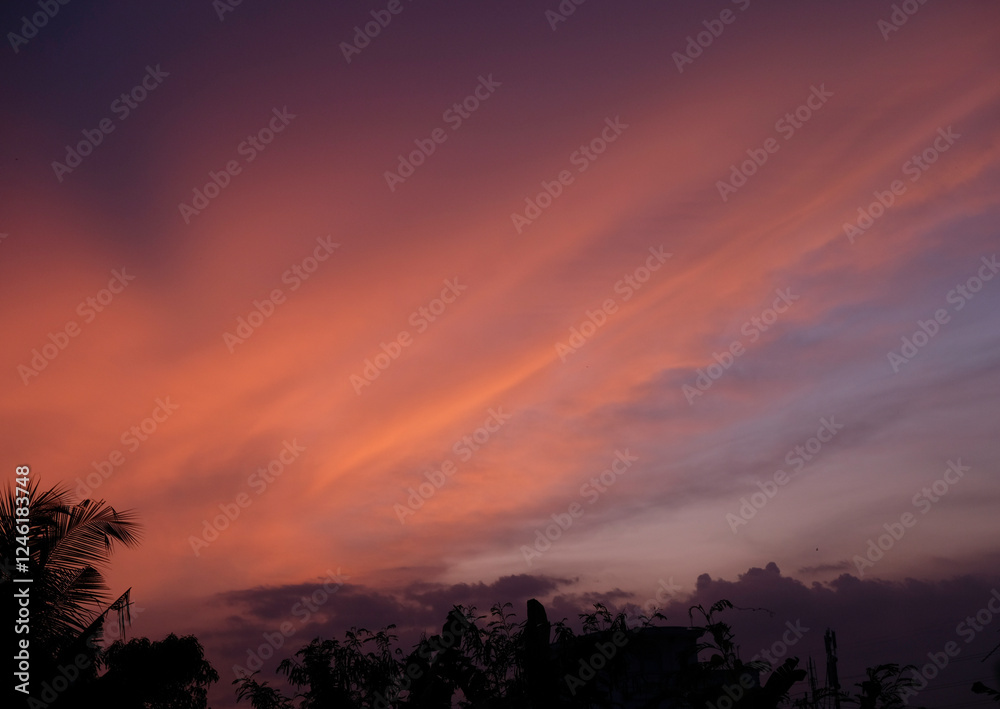 Beautiful sunset with silhouettes of trees.
