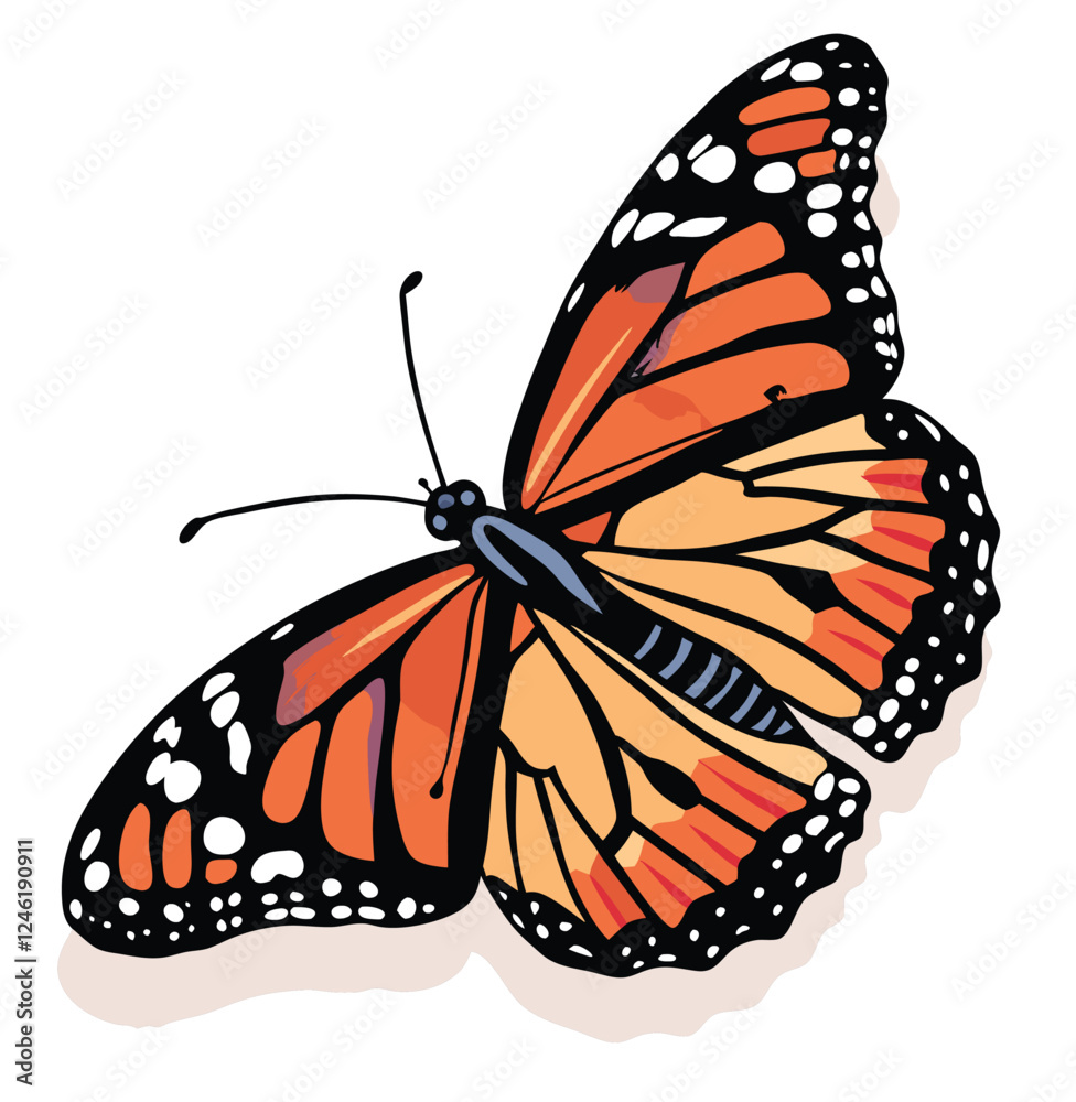 Fototapeta premium Isolated monarch butterfly with orange and black wings, a beautiful insect of nature