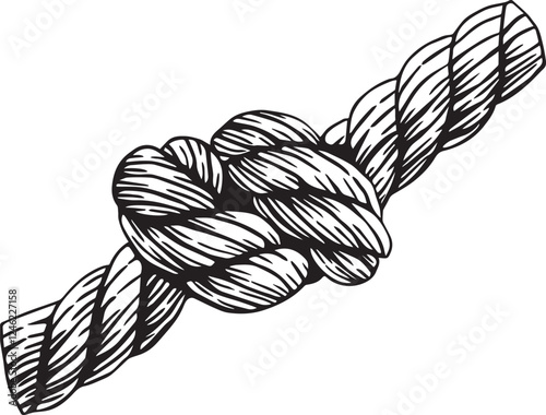 Knotted ropes cords eight knots. Nautical thread whipcord with loops and noose. Rope cord Twisted. Illustration hand drawn graphic isolated background Vector. Braided, folded spiral fiber