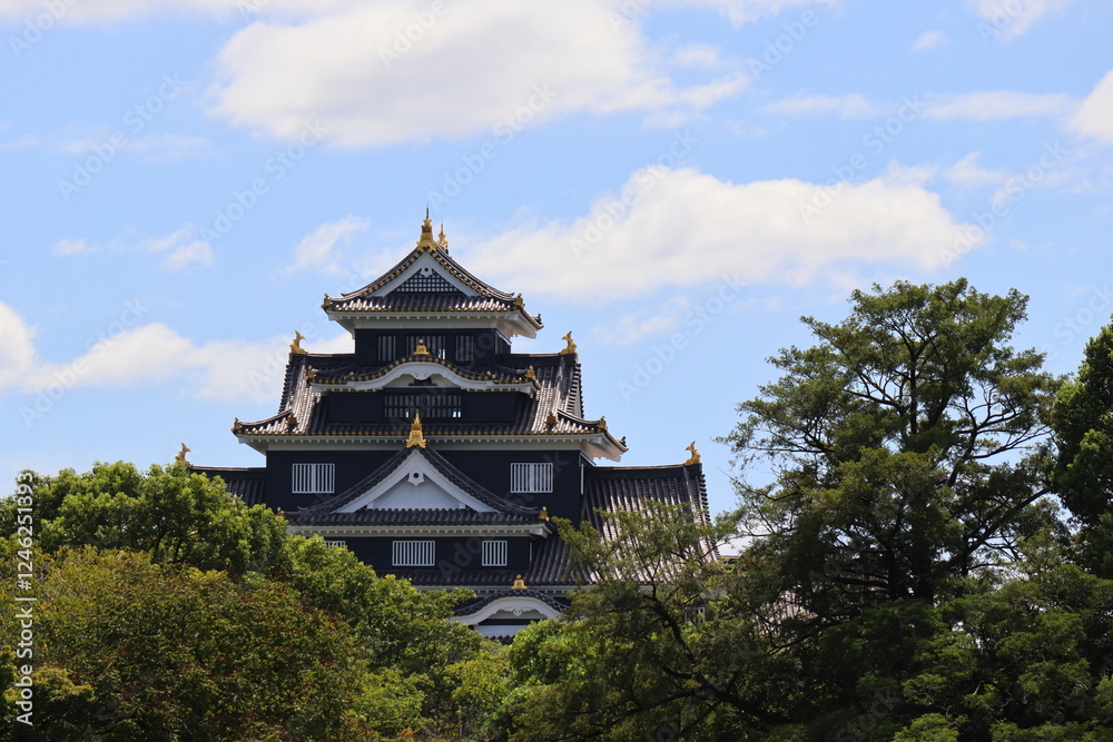 青空の下の岡山成 青空の下の岡山成