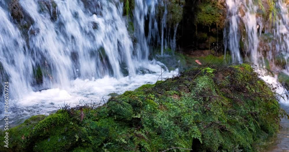 waterfall in the forest