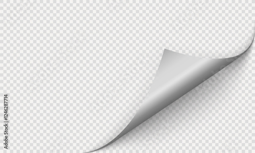 Realistic curls of the corners of a paper page on a transparent background with shadow, curled corners of a sheet of paper. The white edges of the vector stickers are curved. Corners of paper skroll