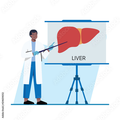 A male doctor points to a liver diagram on a presentation board. Great for medical education, healthcare, and anatomy resources.