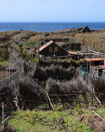 Small village of Achadas da Cruz in the late afternoon