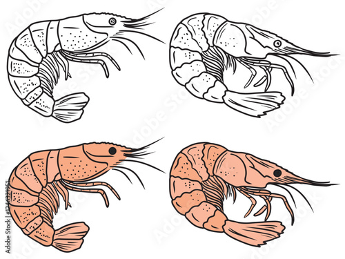 Beautiful tasty coloring book design with black and white version of shrimp seafood. Hand drawn vector sketch illustration in doodle engraved vintage line art style. Tasty delicious ready to eat
