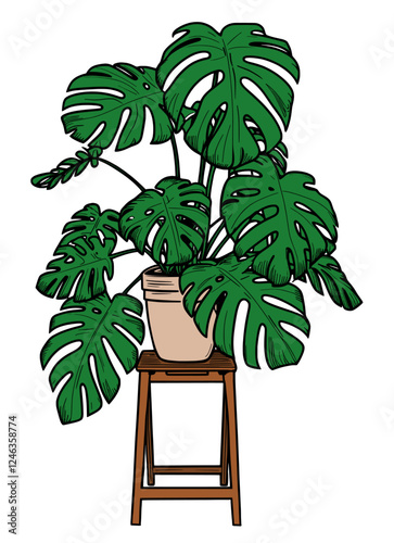 Vector illustration of a green Monstera deliciosa plant
