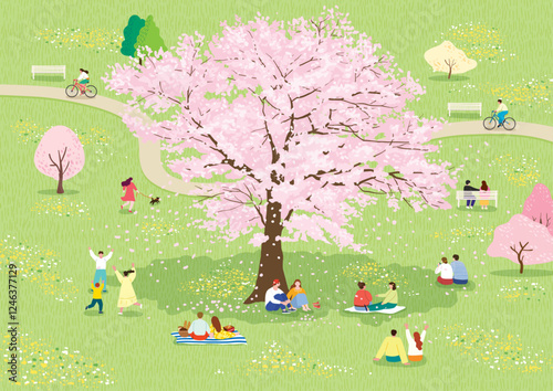 people relaxing and enjoying picnics in the park with large cherry blossoms in full bloom
