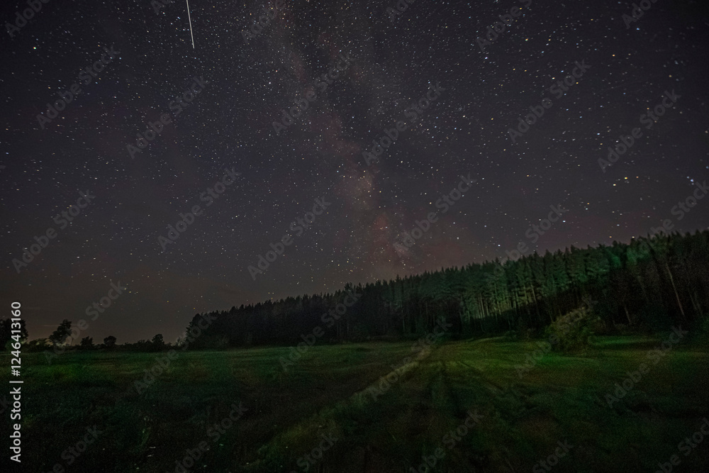 Fototapeta premium night starscape in the countryside