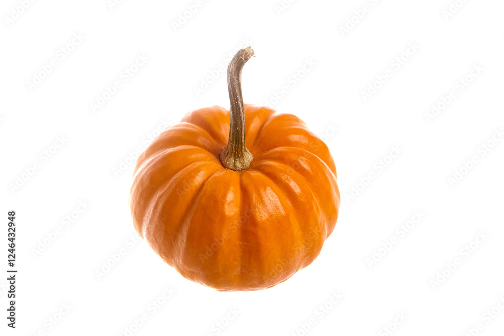Obraz premium Small Orange Pumpkin with Curved Stem on White Background
