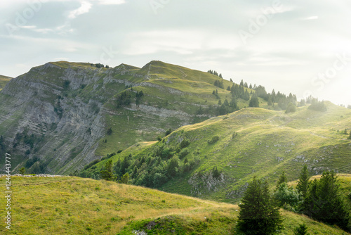 Obraz na płótnie Jura mountains near Crêt de la Neige, jurassic landscape, France w salonie