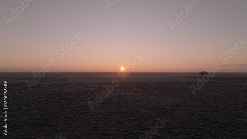 Cinematic drone movement low to the ground, then rising above the desert landscape in light fog at sunrise with the sun in the frame