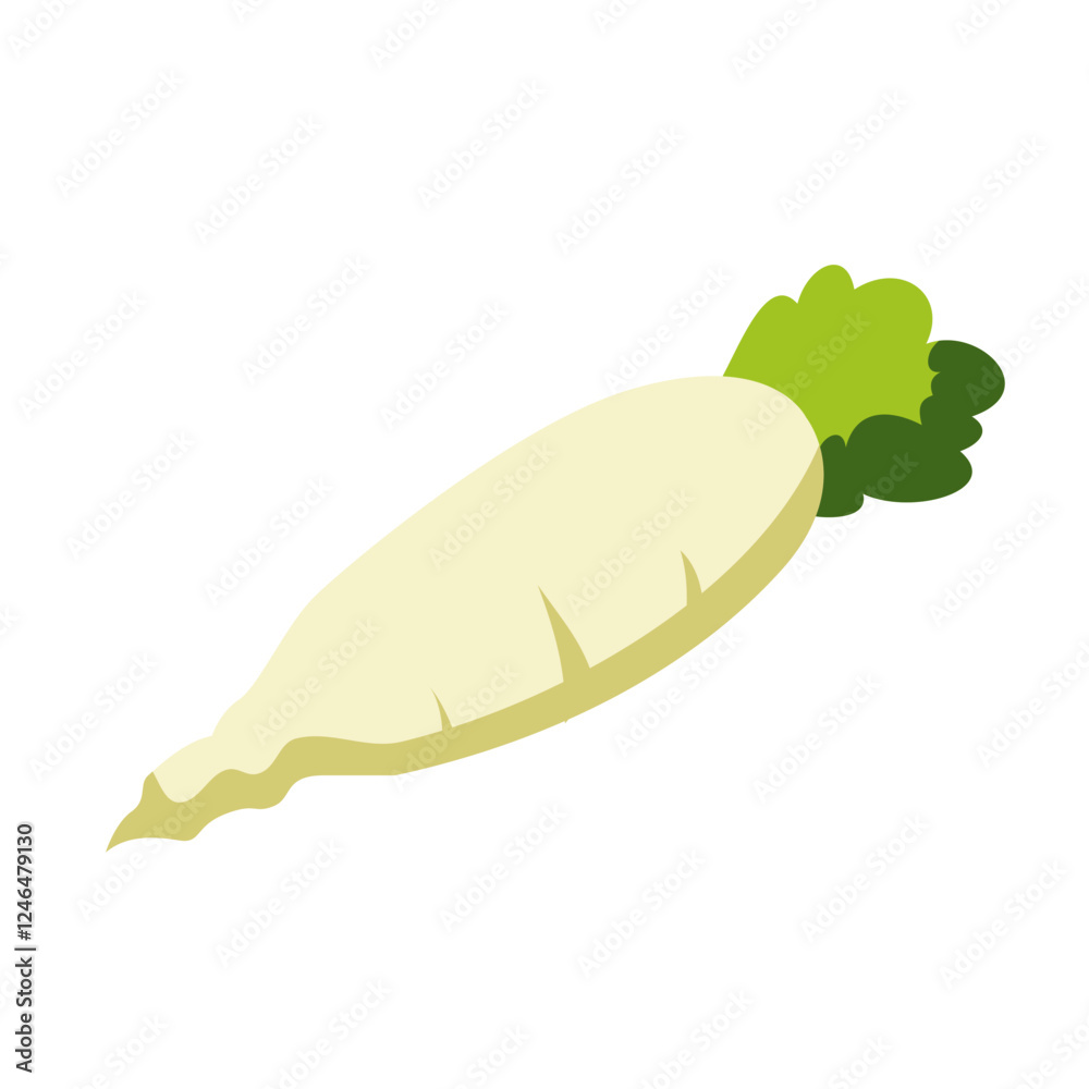 Fototapeta premium Illustration of a Radish
