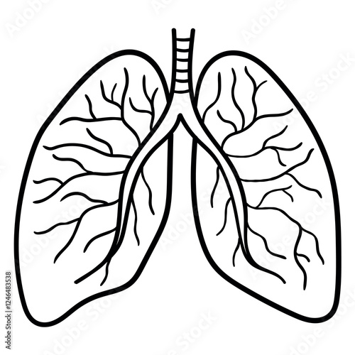 Hand drawn doodle lungs on white background.