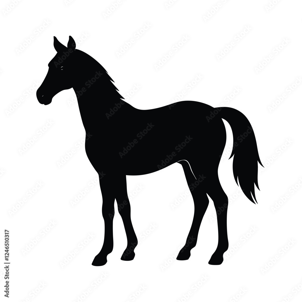 Obraz premium horse silhouette isolated on white