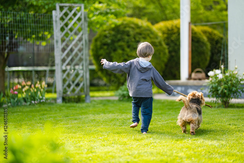 Canvas Print Little boy playing with pedigreed Australian terrier dog in summer park