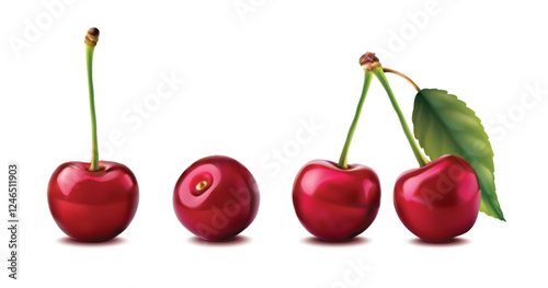 3d realistic vector icon illustration. Fresh red cherries with stem and leaf or without. Isolated on white background.