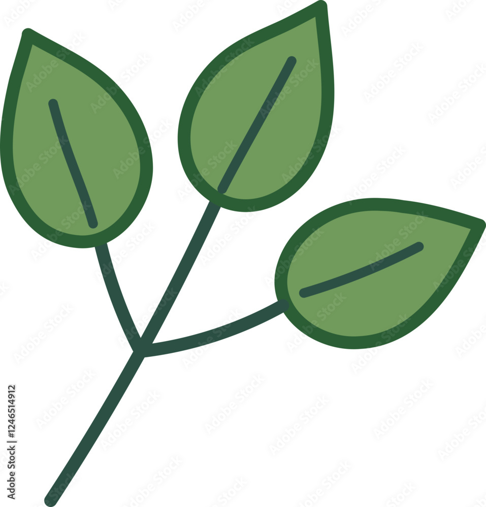 green leaf on a white background green leaf on a white background