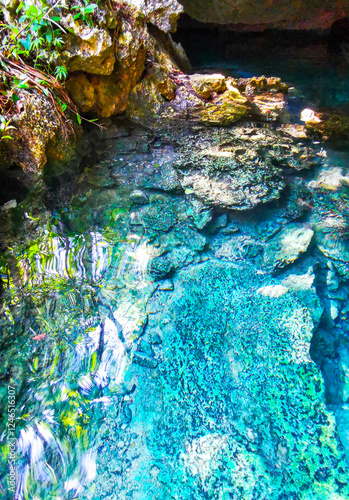 Cenote Park Yaxmuul with limestone rocks turquoise water and nature. photo