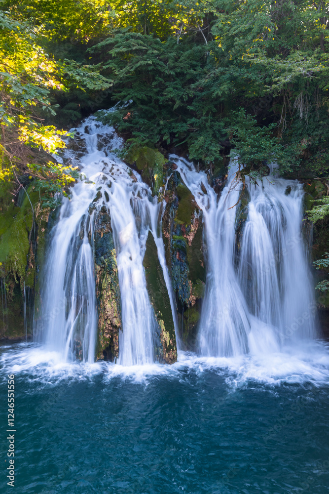 Obraz premium Generated image