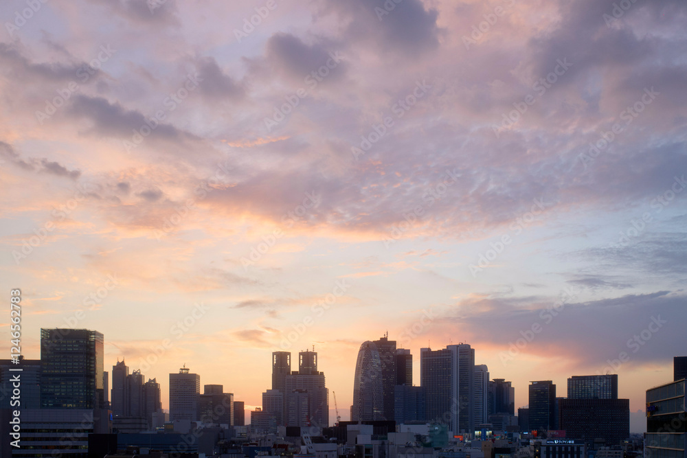 City skyline at sunset with colorful clouds and silhouetted buildings. Tokyo, Japan City skyline at sunset with colorful clouds and silhouetted buildings. Tokyo, Japan