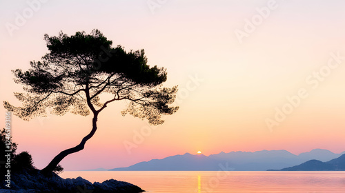 Peaceful sunrise over coastal silhouette of a tree.  Possible use for nature prints or relaxing screensaver