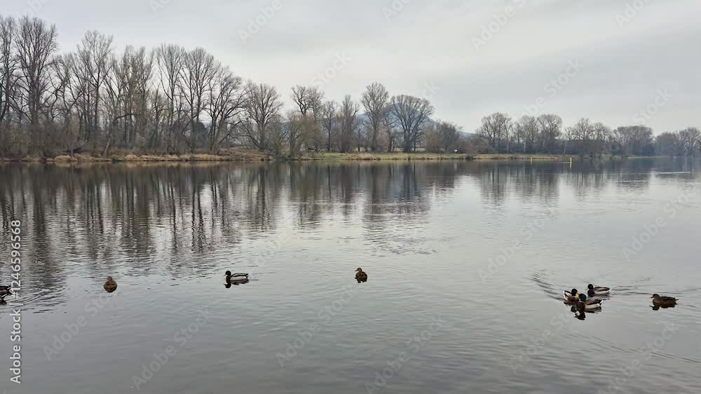 Elbe river in Czech Republic at cloudy day.