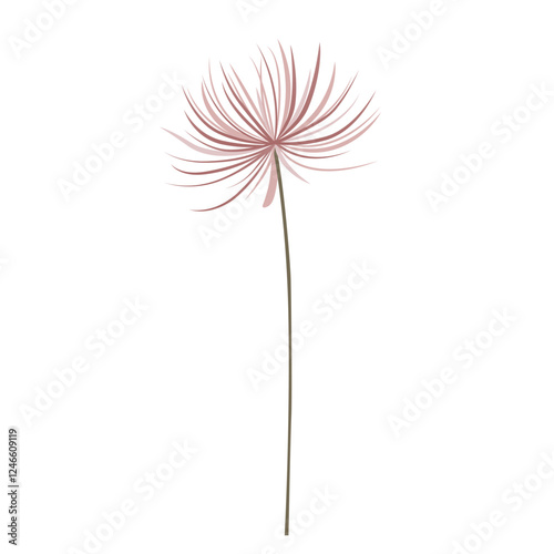 Gentle pink wild flower. Meadow botanical element. Floral element for birthday, wedding invitation.