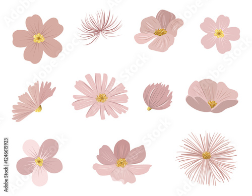 Gentle pink flowers with golden centers. Delicate pastel colored flower heads. Meadow botanical elements.