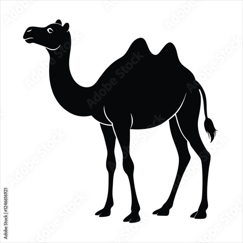 camel on the white background 