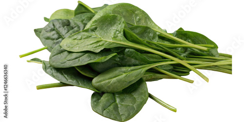 Fresh Green Spinach Leaves on a White Background for Healthy Cooking and Nutritional Recipes