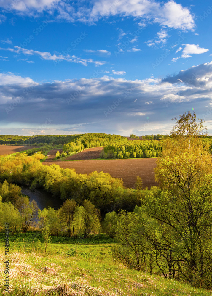 Fototapeta premium Beautiful landscape with a river and trees