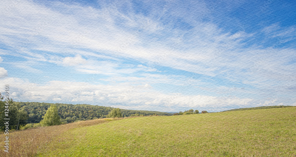 Fototapeta premium Field of grass with a blue sky in the background