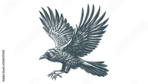 crow vector, raven vector