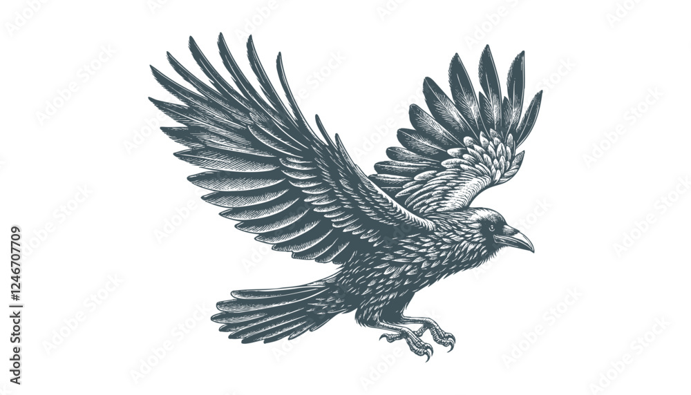 Obraz premium crow vector, raven vector