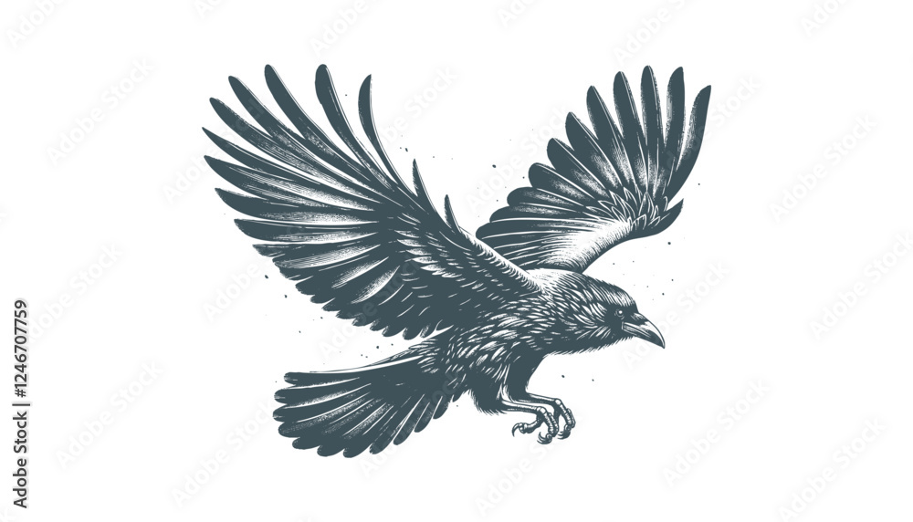 Obraz premium crow vector, raven vector