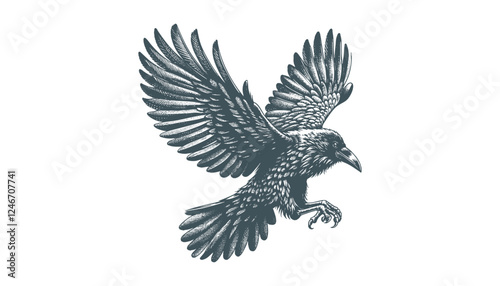 crow vector, raven vector