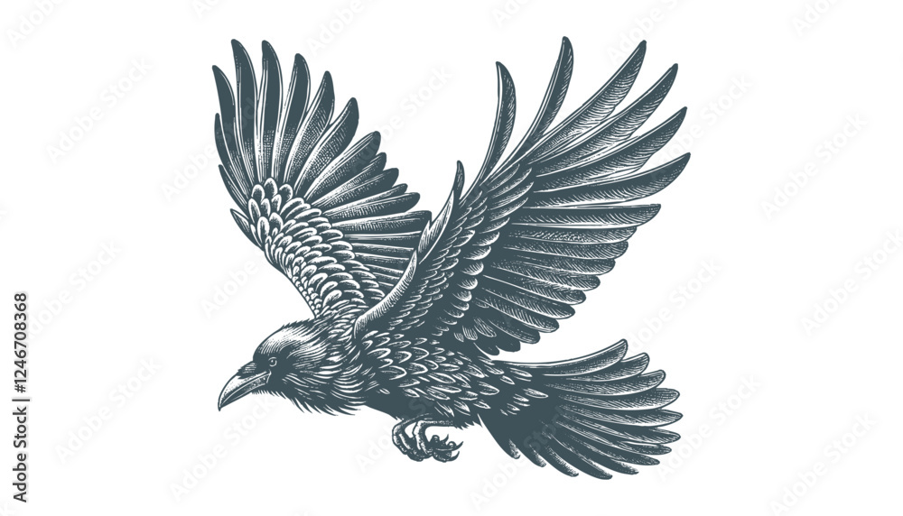 Obraz premium crow vector, raven vector