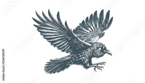 crow vector, raven vector