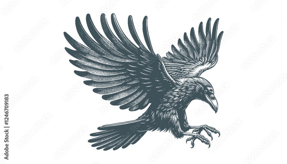 Obraz premium crow vector, raven vector