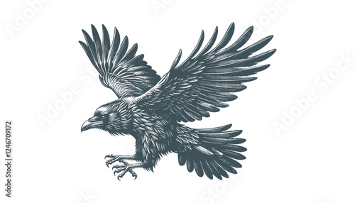 crow vector, raven vector