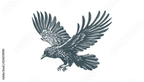 crow vector, raven vector