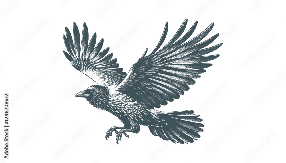 Obraz premium crow vector, raven vector
