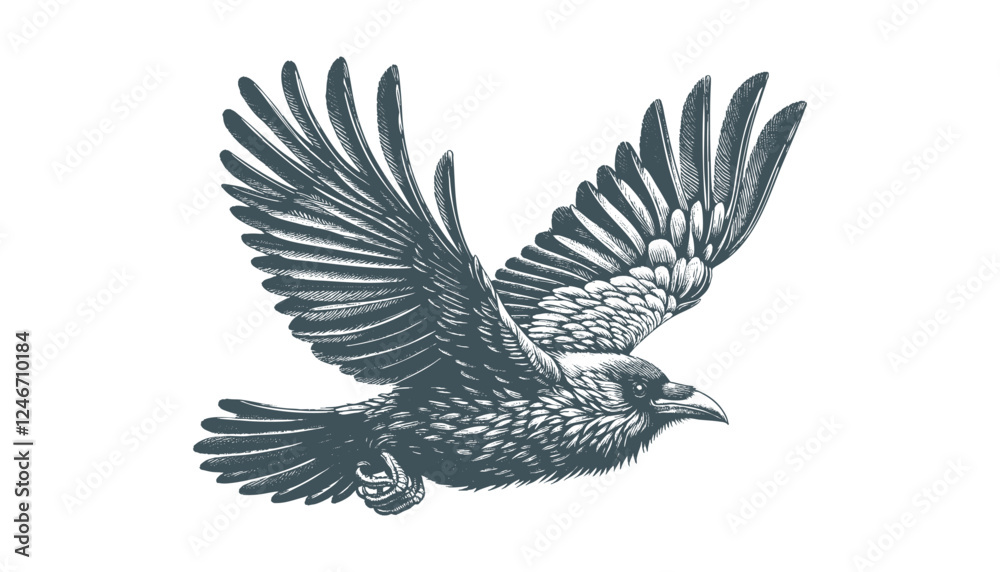Obraz premium crow vector, raven vector