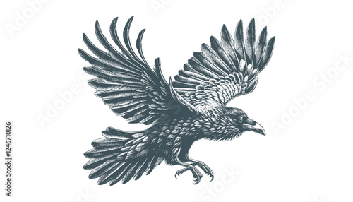 crow vector, raven vector