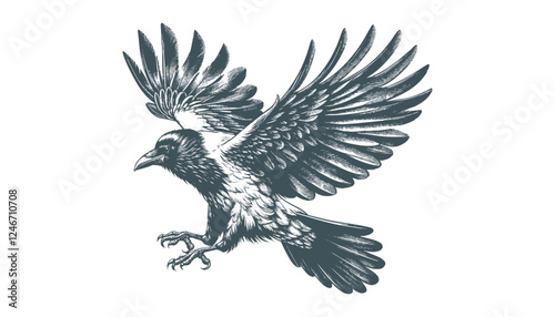 crow vector, raven vector