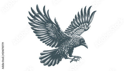crow vector, raven vector