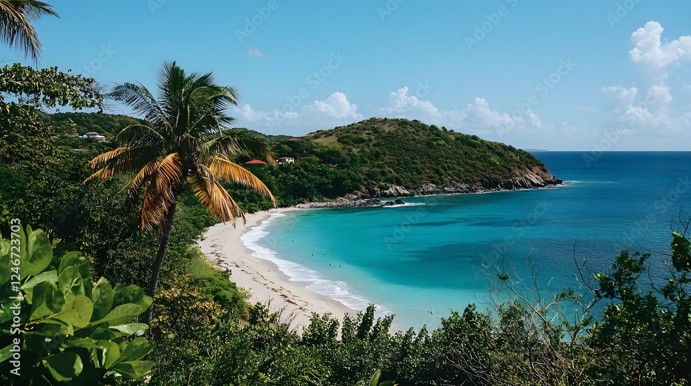Photo of an island with palm trees and turquoise water, under a clear blue sky
Photo of an island with palm trees and turquoise water, under a clear blue sky