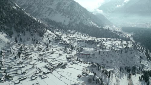 Aerial drone shot of snow-covered trees and dense coniferous forest with wooden homes on a winter day
